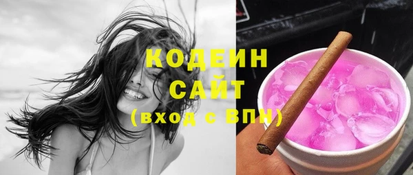 бошки Пересвет