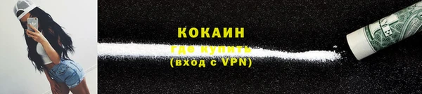 бошки Пересвет