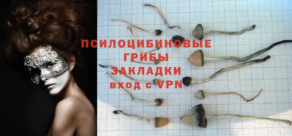бутират Пестово
