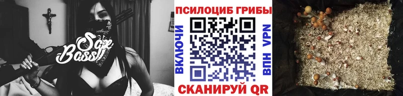 Купить  Серов  Галлюциногенные грибы Cubensis 